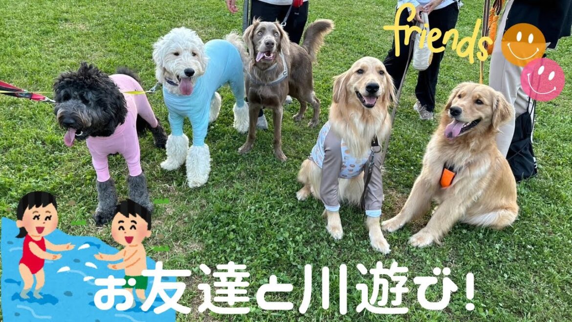 【おでかけ#22】仲良しのお友達と川遊びに行ってきました！