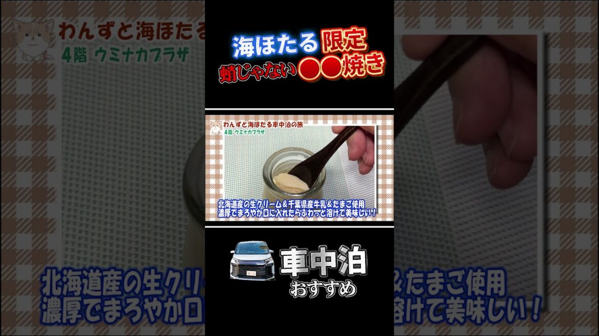 車中泊夫婦のぶらり旅　食べてほしい　＃海ほたる＃車中泊＃shorts