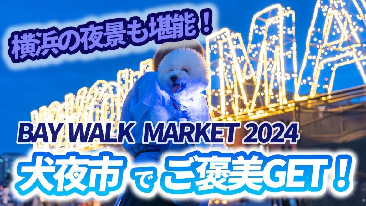 【犬好きの楽園】横浜の犬夜市2024に行ってきたよ!【ビションフリーゼ】 【犬好きの楽園】横浜の犬夜市2024に行ってきたよ!【ビションフリーゼ】