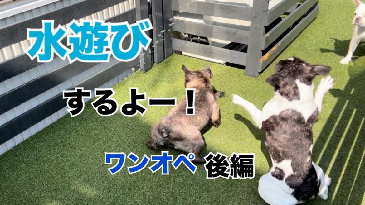 ワンオペ後編〜水遊び