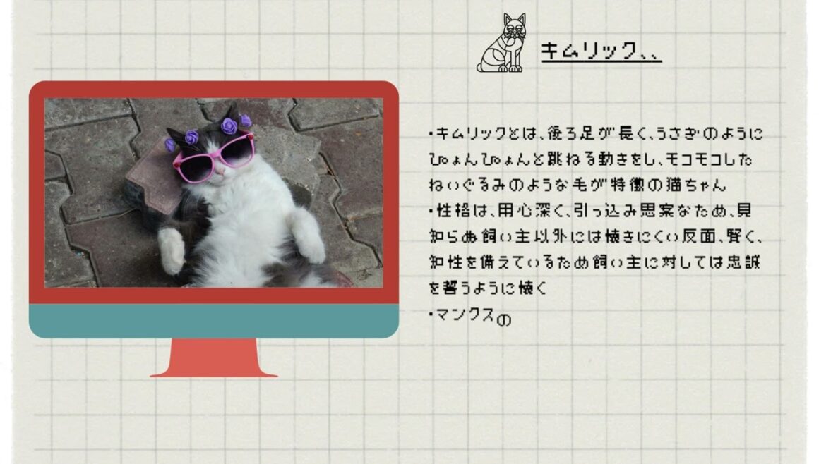 【キムリック】ペットリフォームならセラフ榎本　犬猫のためのリフォーム　愛猫　ペット快適環境　東京都　埼玉県　神奈川県