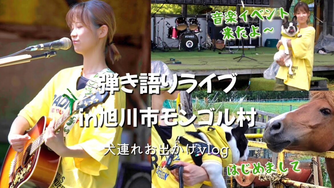 【旭川】 音楽と自然を楽しむイベントへライブ！お姉ちゃんを推し活するフレンチブルドッグ