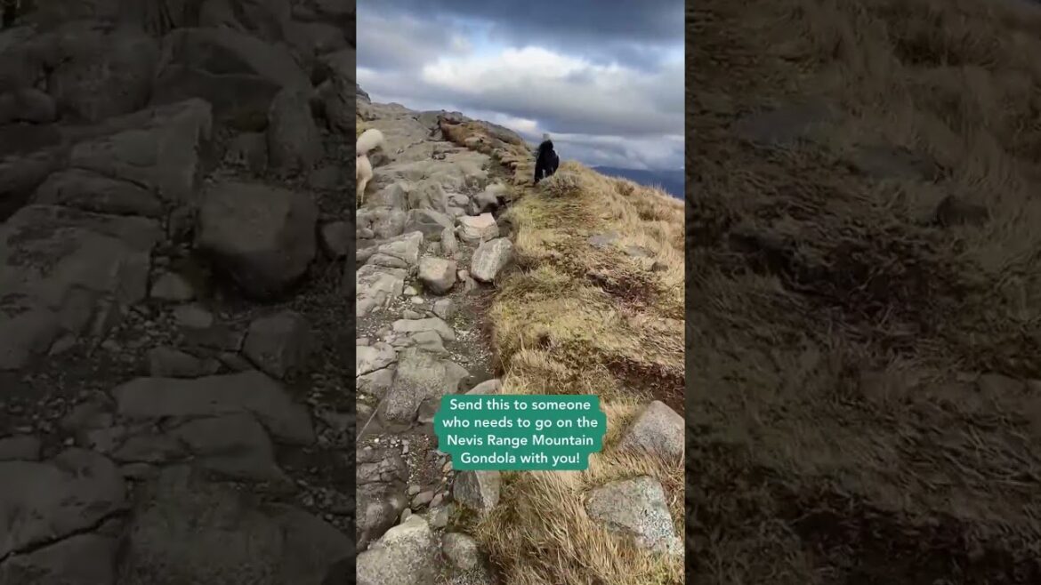 Ever wanted to visit Scotland with your pack? 🏴󠁧󠁢󠁳󠁣󠁴󠁿