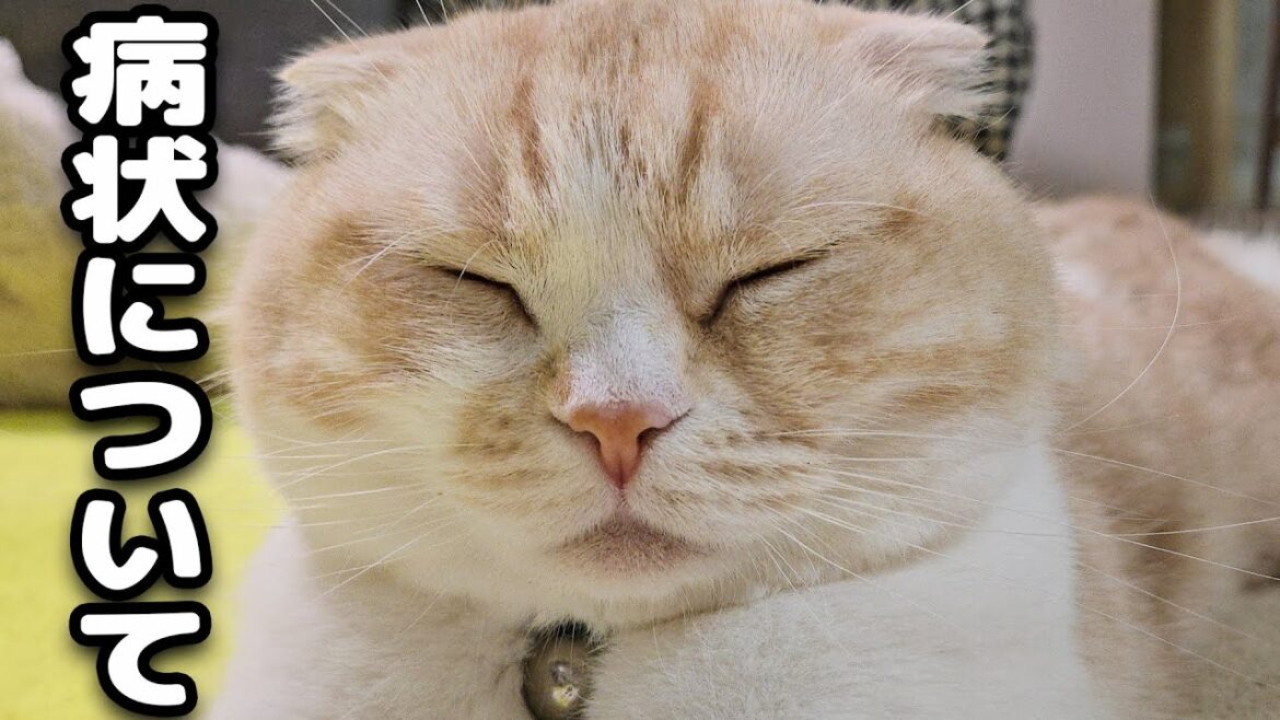 病状について… 病状について...