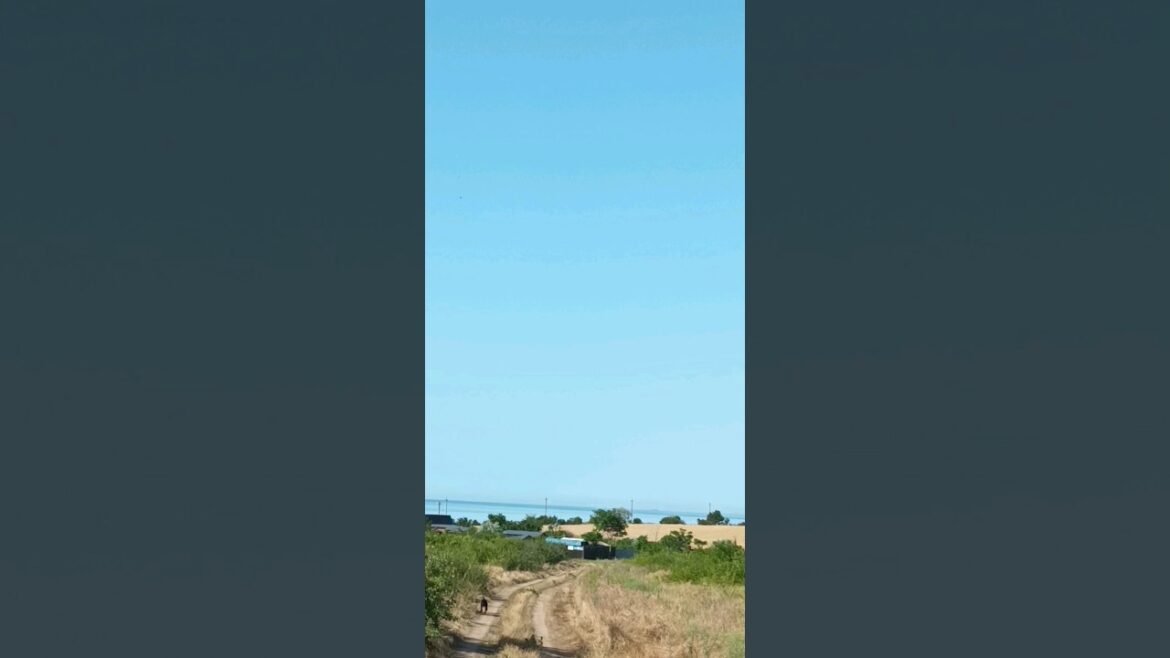 ⚡Рубик⚡ небо поле море возвращается назад ягдтерьер jagdterrier nature ⚡Рубик⚡ небо поле море возвращается назад ягдтерьер jagdterrier nature