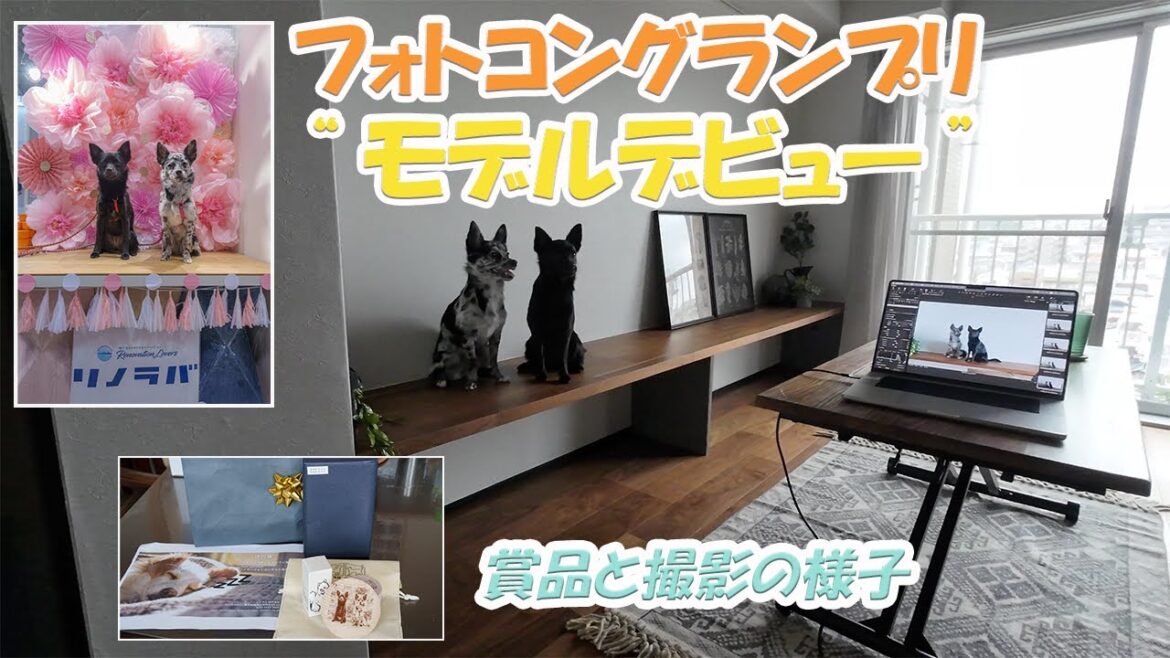【モデルデビュー】インターペット2024で開催されたリノラバフォトコンでグランプリに選ばれました【賞品の紹介】