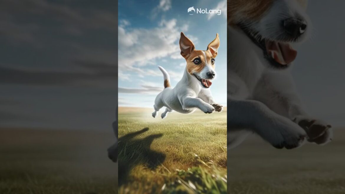 人気犬種だけど本当は飼いにくい#shorts #ジャック.ラッセル.テリア