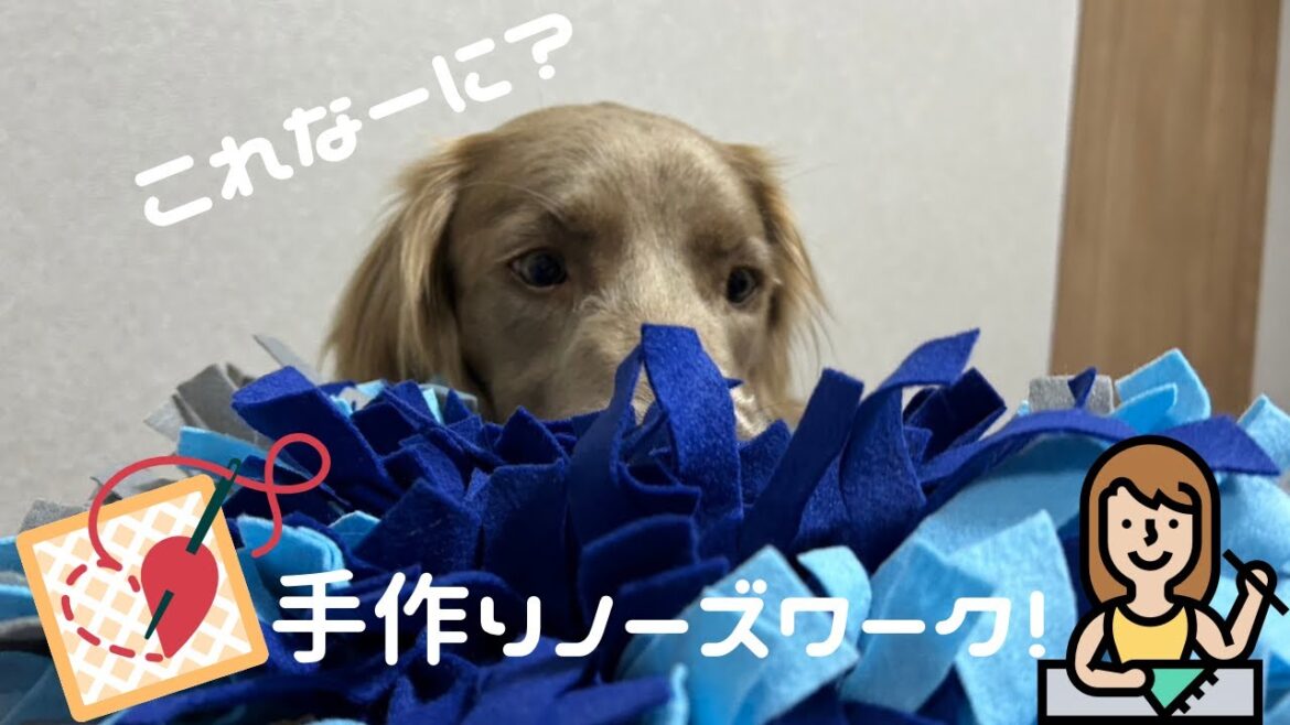 【ルルちゃん日記#37】手作りノーズワークに挑戦しました！