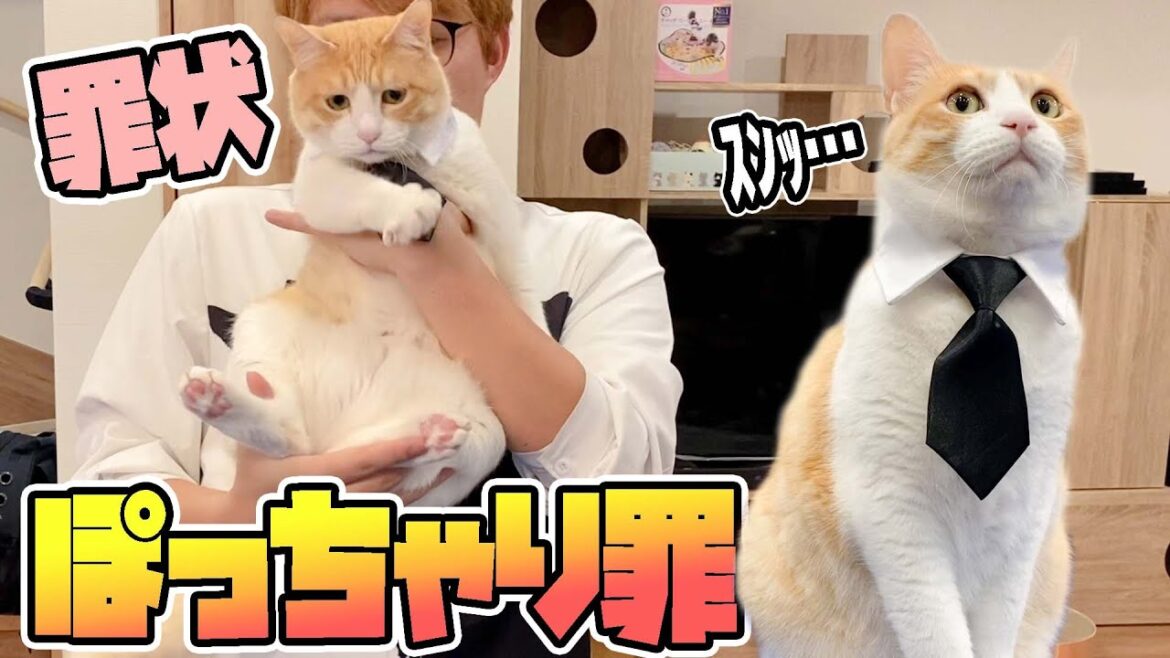 ちょっぴりメタボなリーマンを捕らえました！