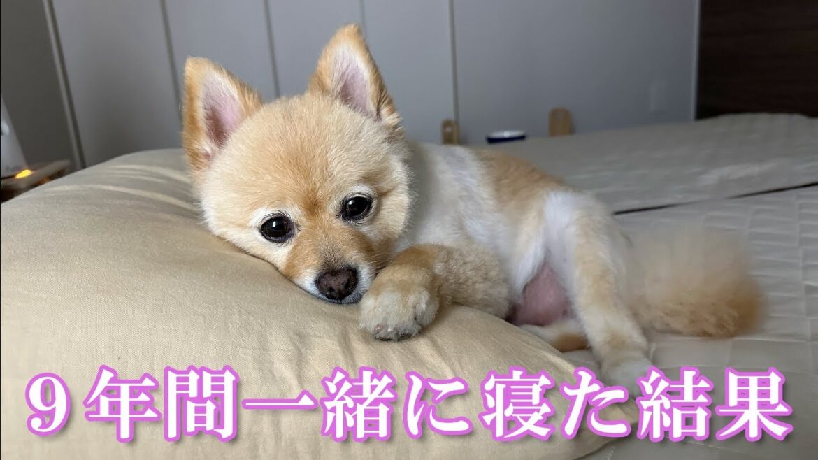 9年間一緒の布団で寝てきた結果こうなりました…