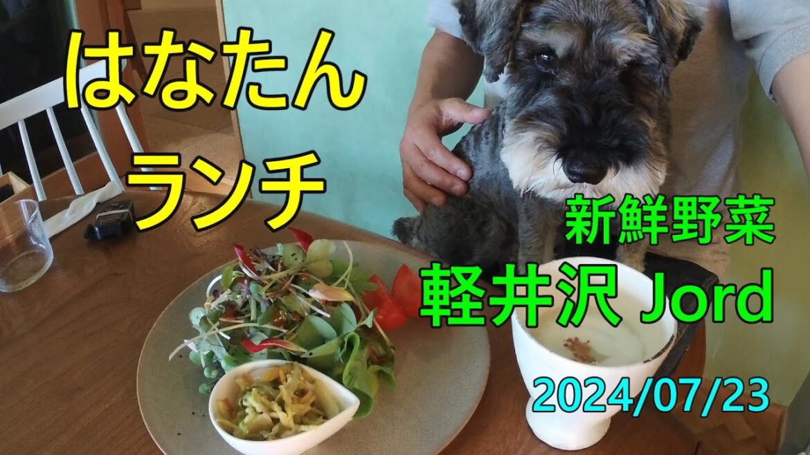 軽井沢 Jord 新鮮野菜、ワンちゃん店内OK
