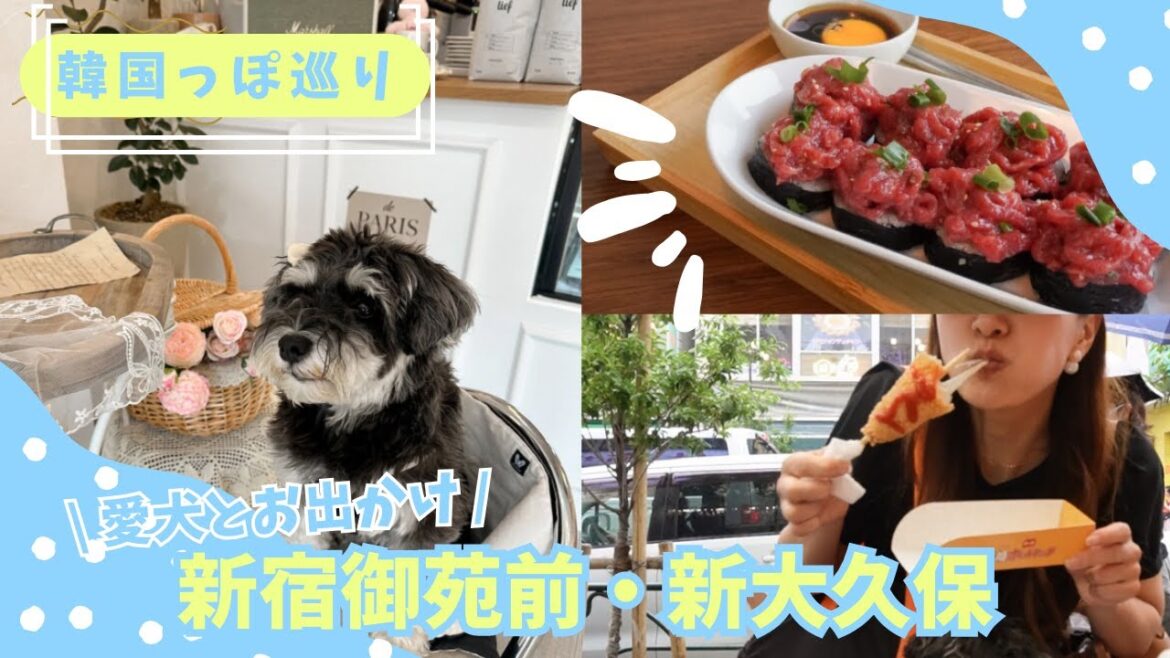 【犬とお出かけ】新宿御苑前・新大久保 | 韓国っぽカフェにショッピング | 食べ歩き | ミニチュアシュナウザーと韓国旅行気分になれる日帰り旅