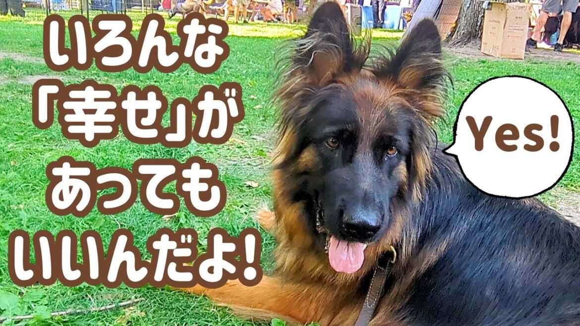 【ジャーマンシェパード】ドッグイベントに行ったら、たくさんの犬と飼い主さん、いろんな幸せの形がありました🙂