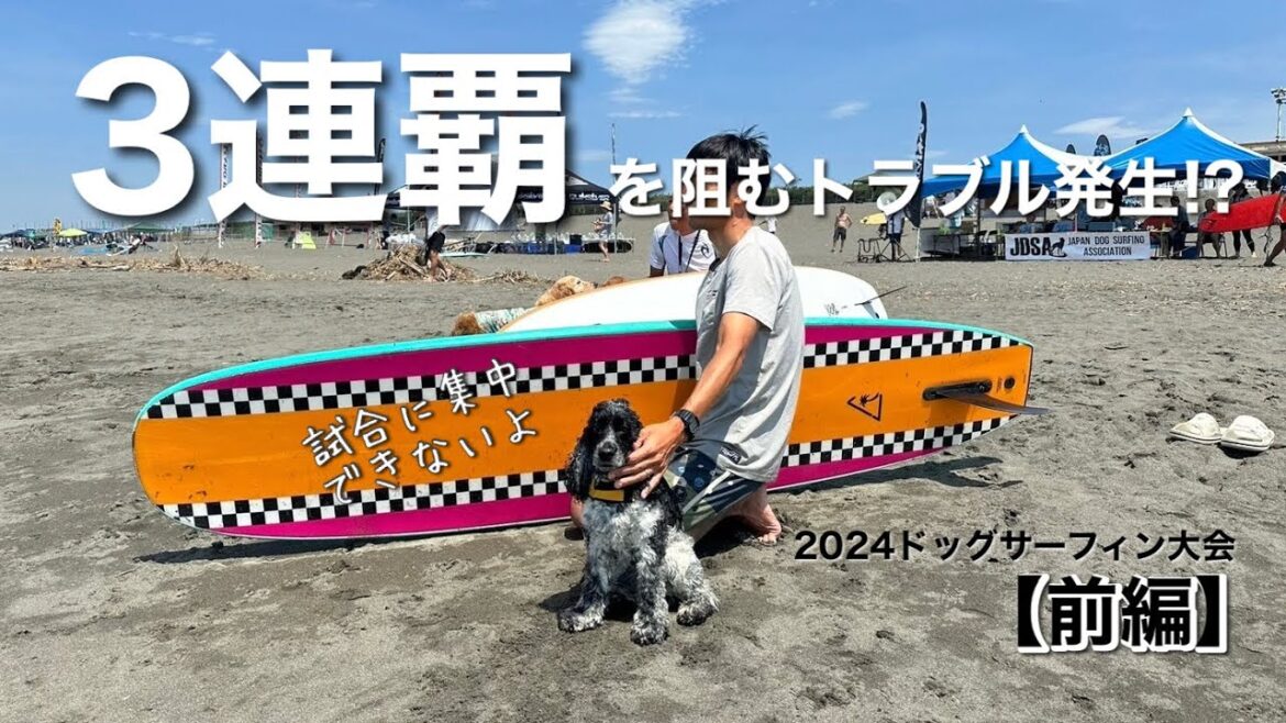 【ドッグサーフィン#34】大会3連覇を阻むトラブル発生！？　イングリッシュコッカースパニエル「みみ」の気持ち
