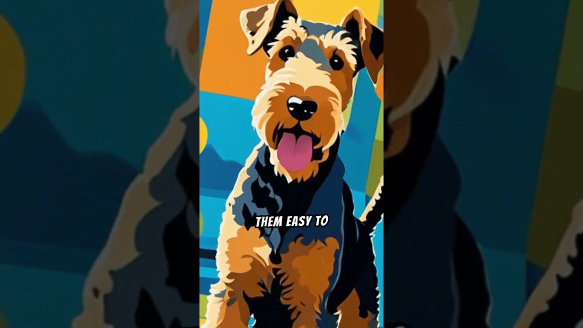 Top 10 Facts About Airedale Terriers #facts