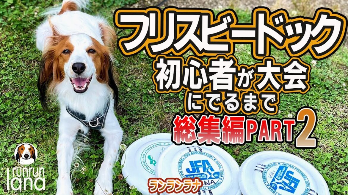 #114  フリスビードック初心者が大会に出るまで（ディスクドックへの道総集編PART2）