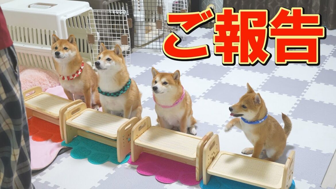 皆様にお伝えしたいことがあります