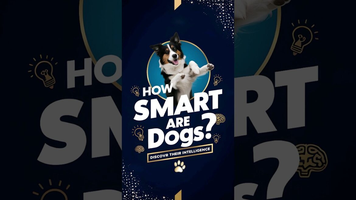 Dogs are SMARTER Than You Think! 🐕🐾🐶#facts #shorts #smartdog #shortsvideo #puppy #funny #animals #ai