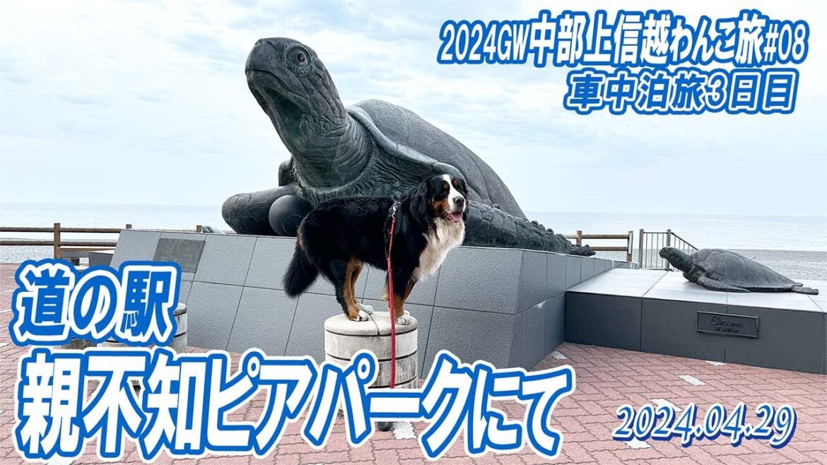 道の駅親不知ピアパークで巨大なヒスイ原石を見たよ？(^^)中部上信越わんこ旅（その8）／2024GW／大型犬散歩