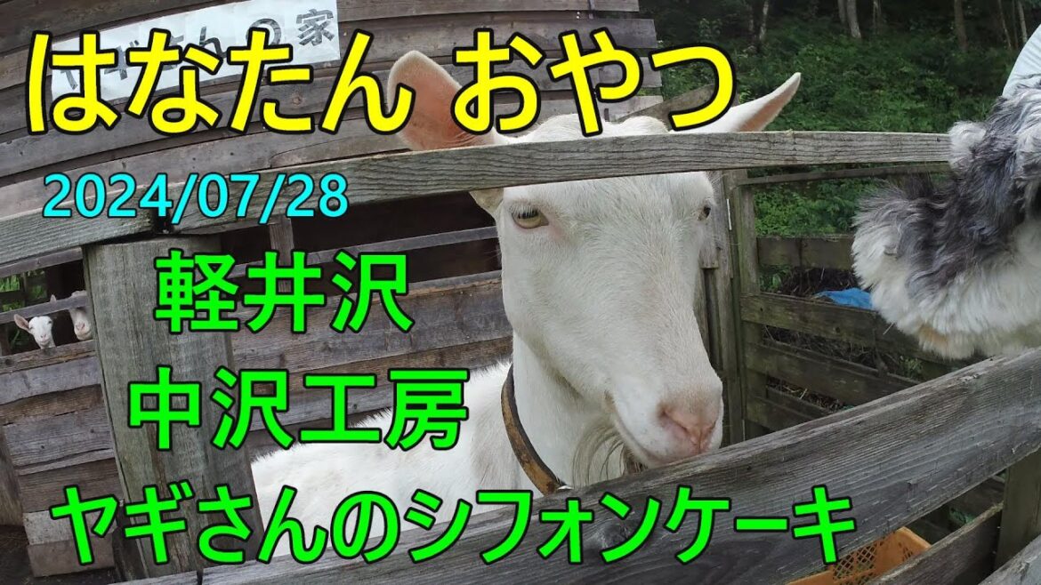 軽井沢 中沢工房 ヤギさんのシフォンケーキ
