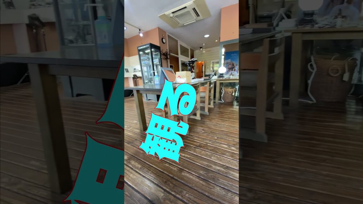 見る！視る！観るのスペシャリスト