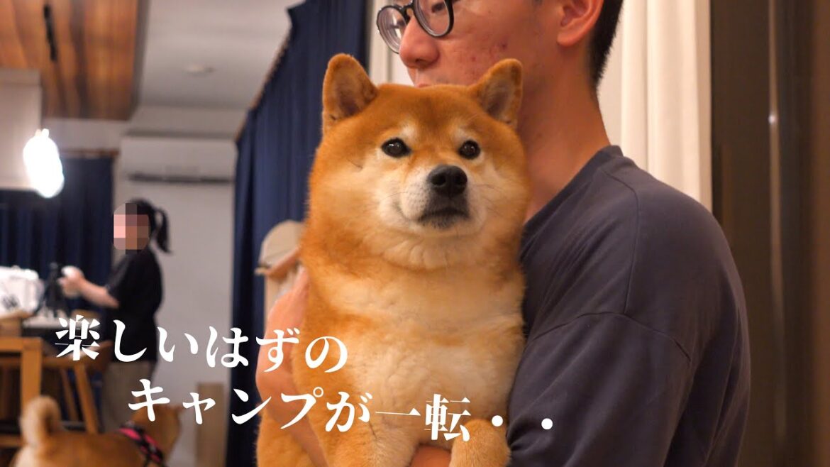 柴犬との自宅キャンプをしたら笑顔から絶望へ‥なにがあった？