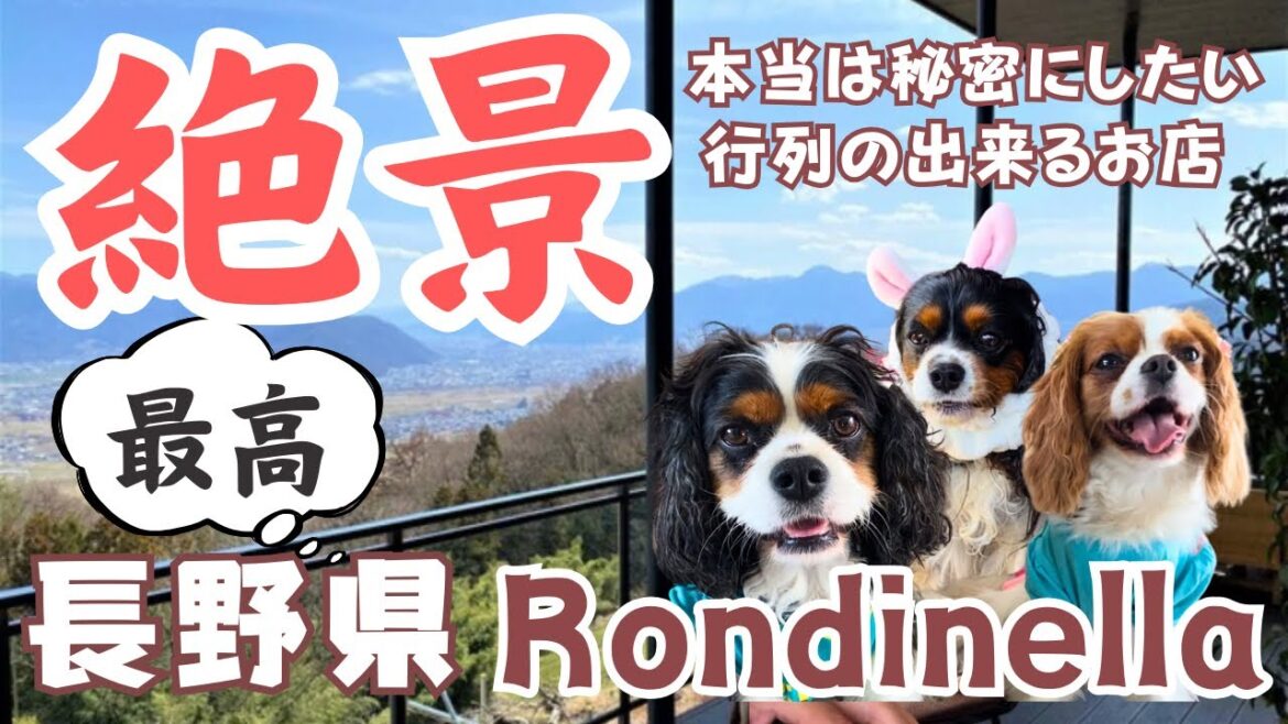 【長野県】愛犬と極上のバスクチーズケーキを食べながら絶景テラス席で寛げるお店♡