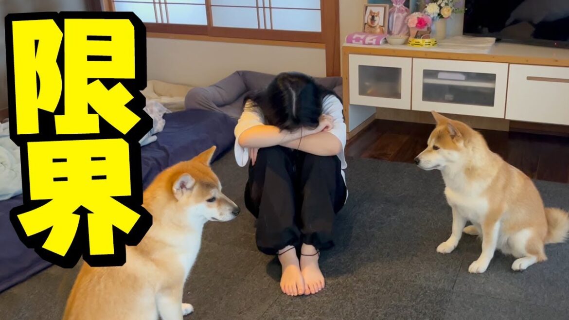 とうとう娘が限界だそうです…そして事態は急展開へ