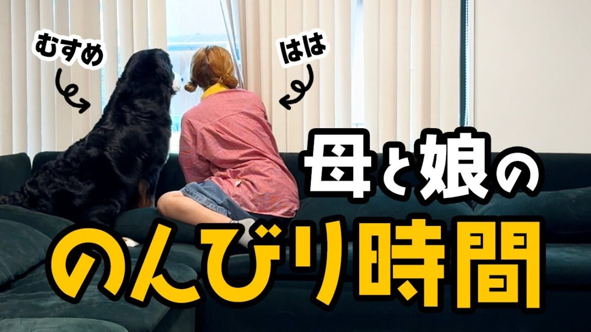 母と娘ののんびり時間【1歳1ヶ月バーニーズ】