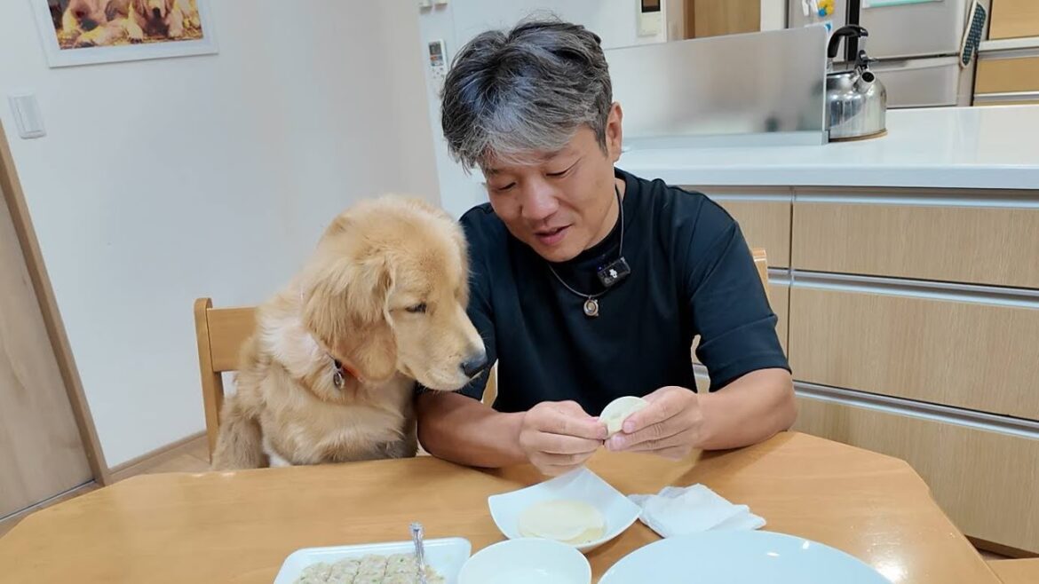 まるで人間のような犬と親子のように(笑)プライドを持たない生き方とは。【Golden Retriever japan】