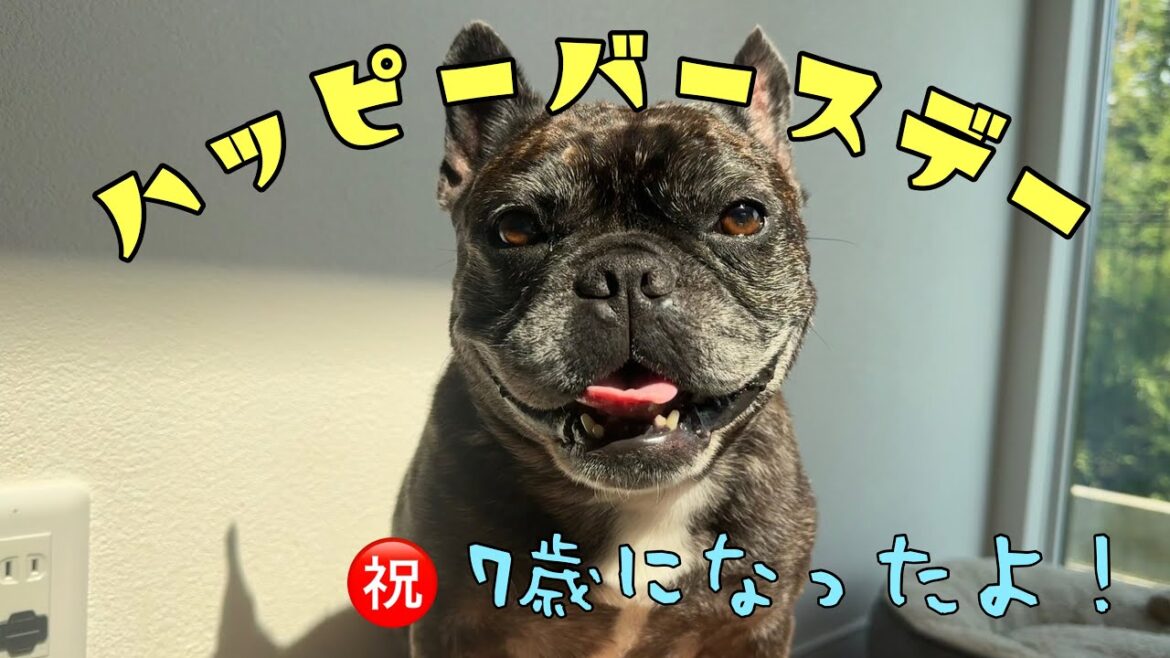 Happybirthday‼とにかく明るいわが家の3男坊が7歳になりました! Happybirthday‼とにかく明るいわが家の3男坊が7歳になりました!