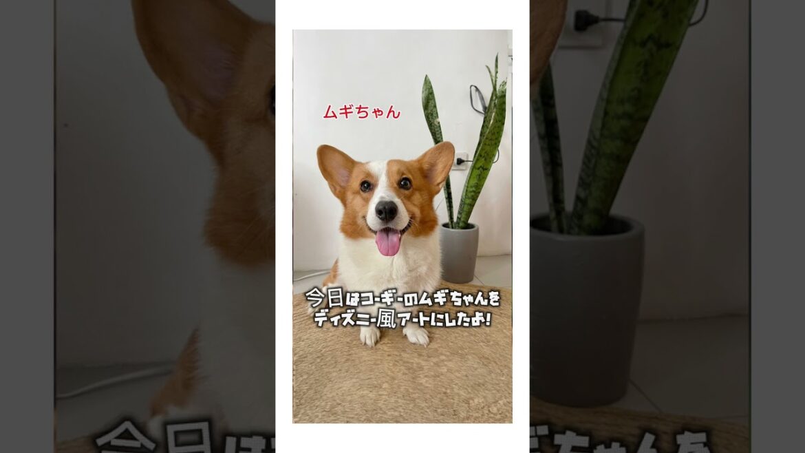 🎨今日はコーギーの「ムギちゃん」をディズニー風アートにしてみたよ！🐱🐶 #コーギー#ウェルシュコーギー #ディズニー風アート#ディズニー風#ディズニー