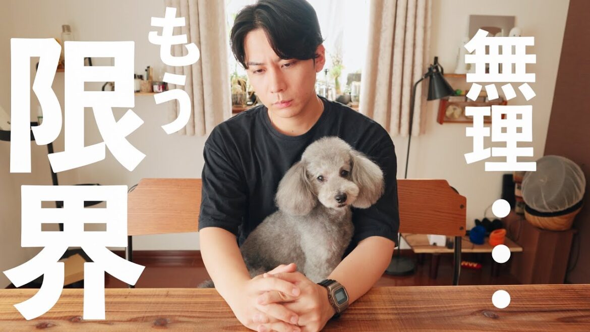 🐶我慢の限界・・・我が家に〇〇〇が大発生して困っています｜愛犬グリィの夏休み【トイプードル】