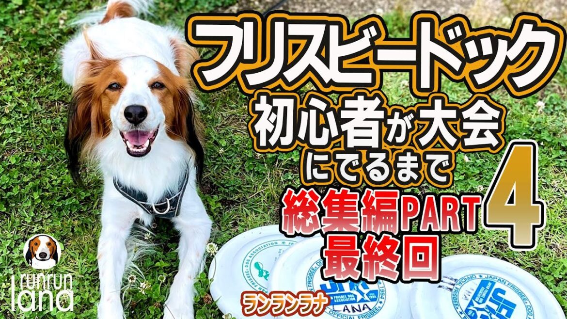 #116 フリスビードック初心者が大会に出るまで（ディスクドックへの道総集編PART4最終）コーイケルホンディエ