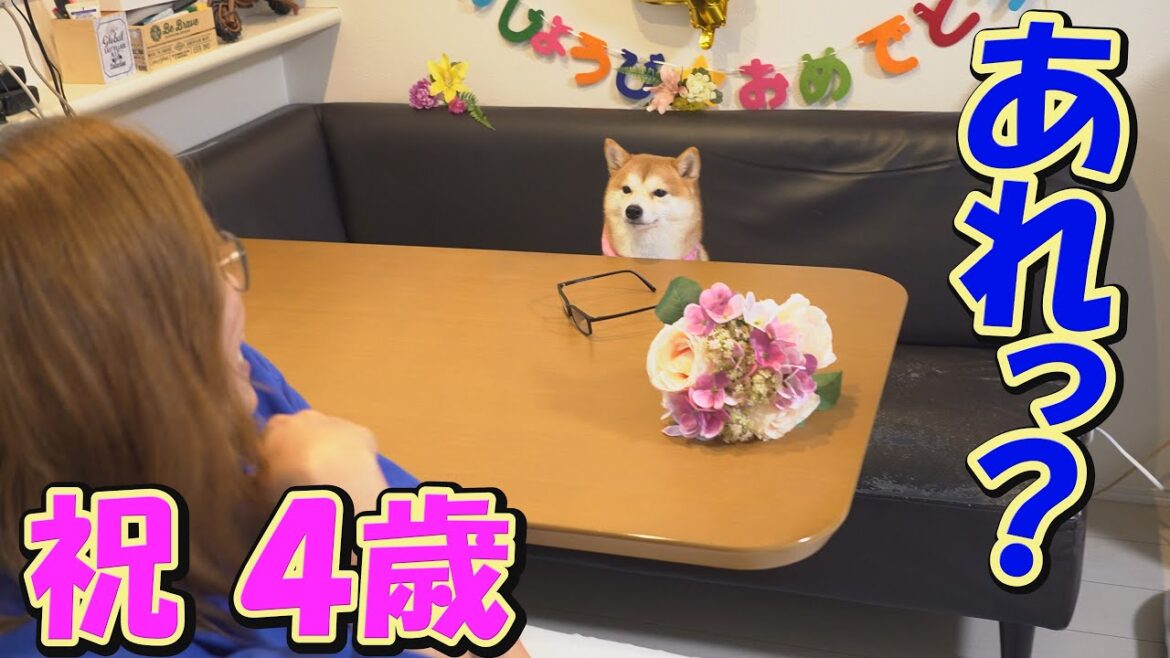 世界一の誕生会を目指し、全力で祝ったら、爆笑誕生会になりました