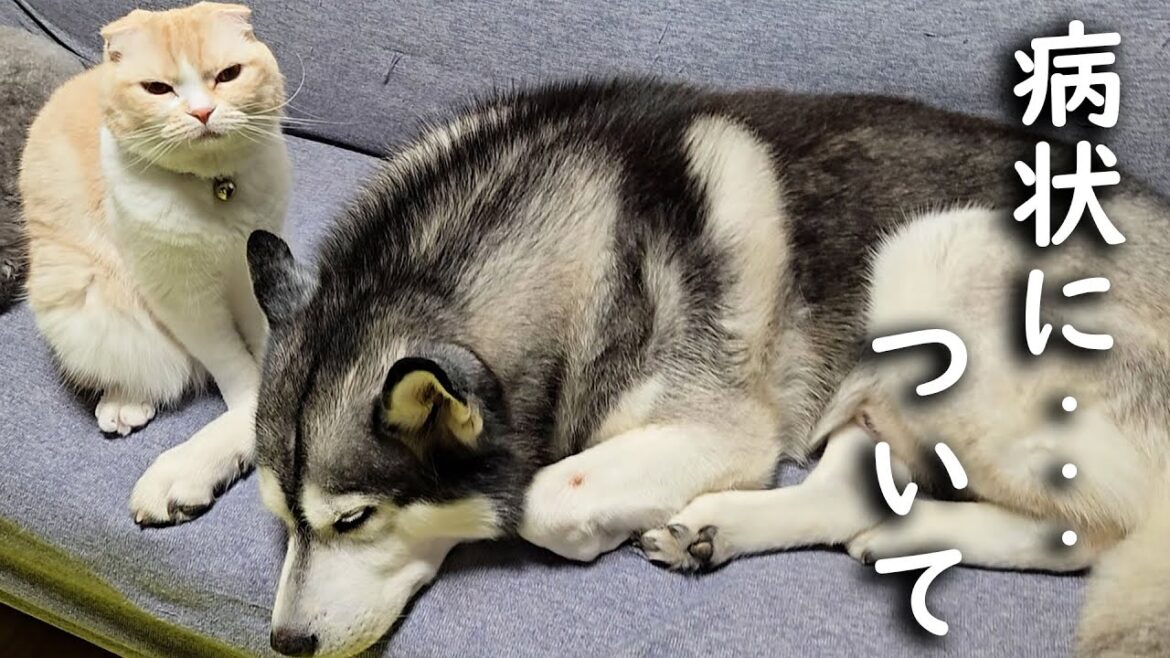 病状について… 病状について...