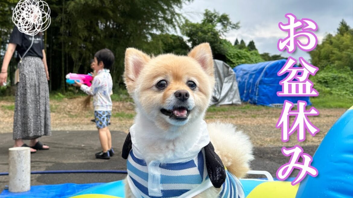 【帰省】福島の実家でお盆休みを満喫しております！