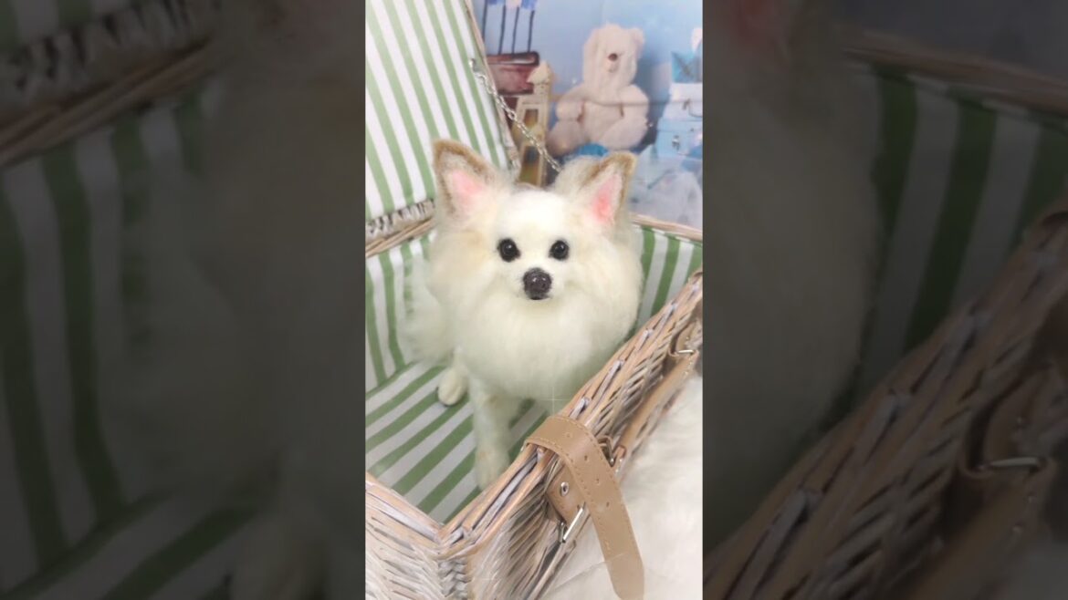 【大好き♫】羊毛フェルトでロングコートチワワのパールライスちゃん作りました♫#羊毛フェルト#dog #チワワ