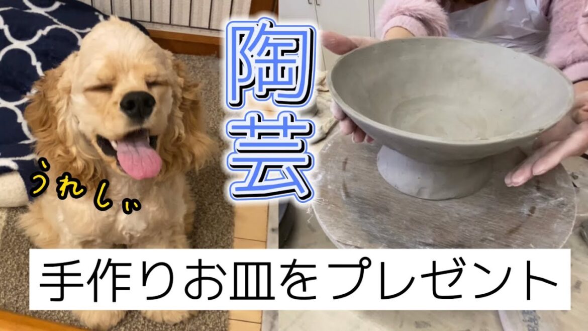 【早食奨励】陶芸で手作り食器をプレゼント［アメリカンコッカースパニエル］