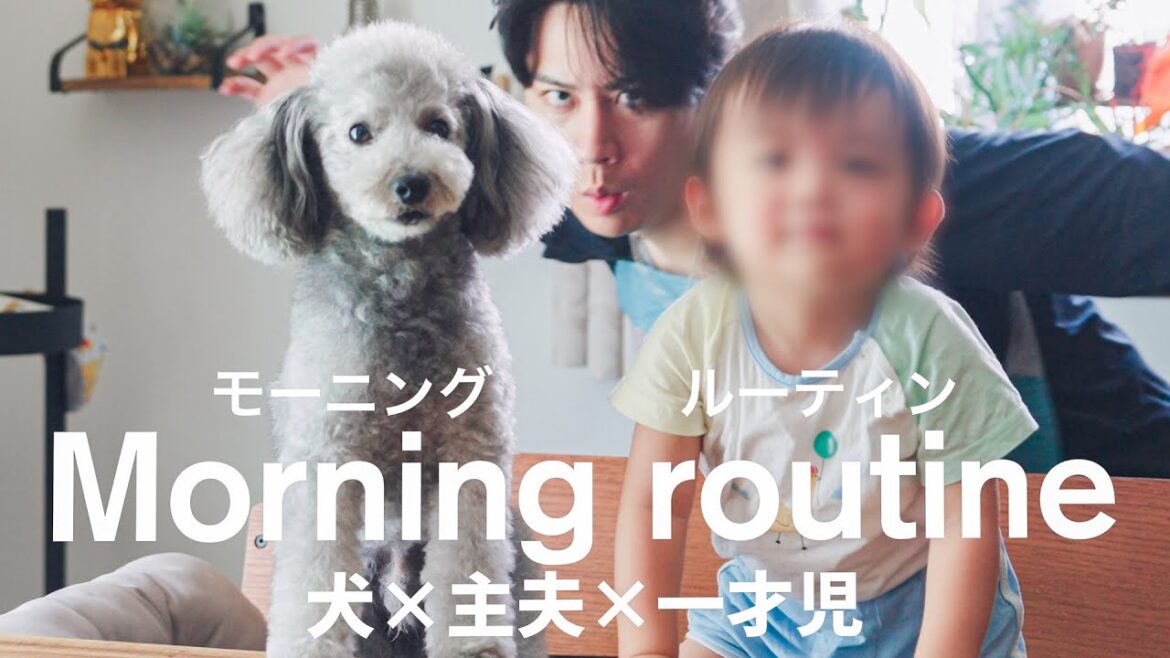 🐶【ワンオペ育児】妻が仕事復帰した我が家のドタバタモーニングルーティン【トイプードル】