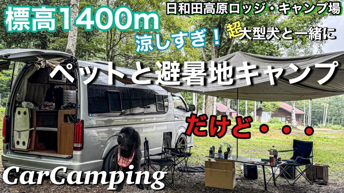 【犬と車中泊キャンプ】涼を求めて愛犬と【御嶽山北嶺】標高1400mのキャンプ場へ🏕️想定外の出来事で．．．．