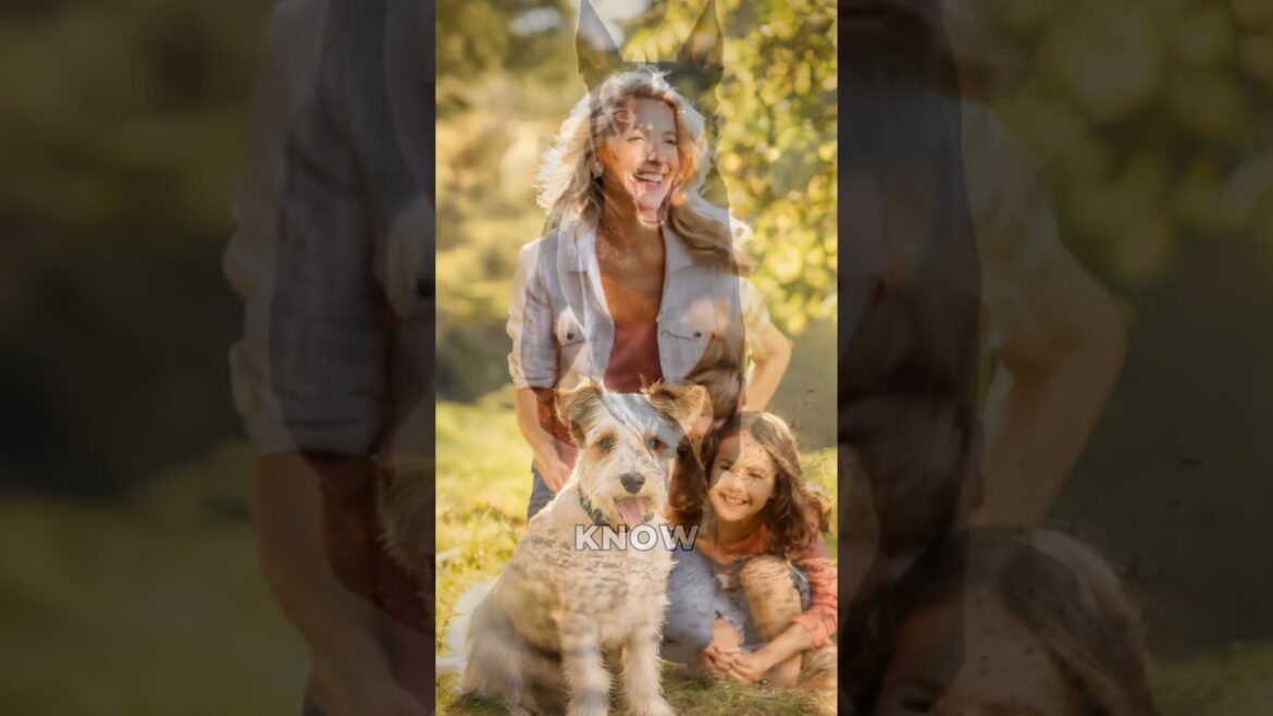 The Secret History of Australian Dog Breeds