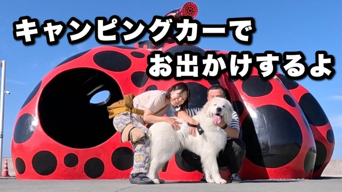 【車中泊】キャンピングカーで超大型犬と40代夫婦が盆休みに岡山県玉野市に行きました! 【車中泊】キャンピングカーで超大型犬と40代夫婦が盆休みに岡山県玉野市に行きました!