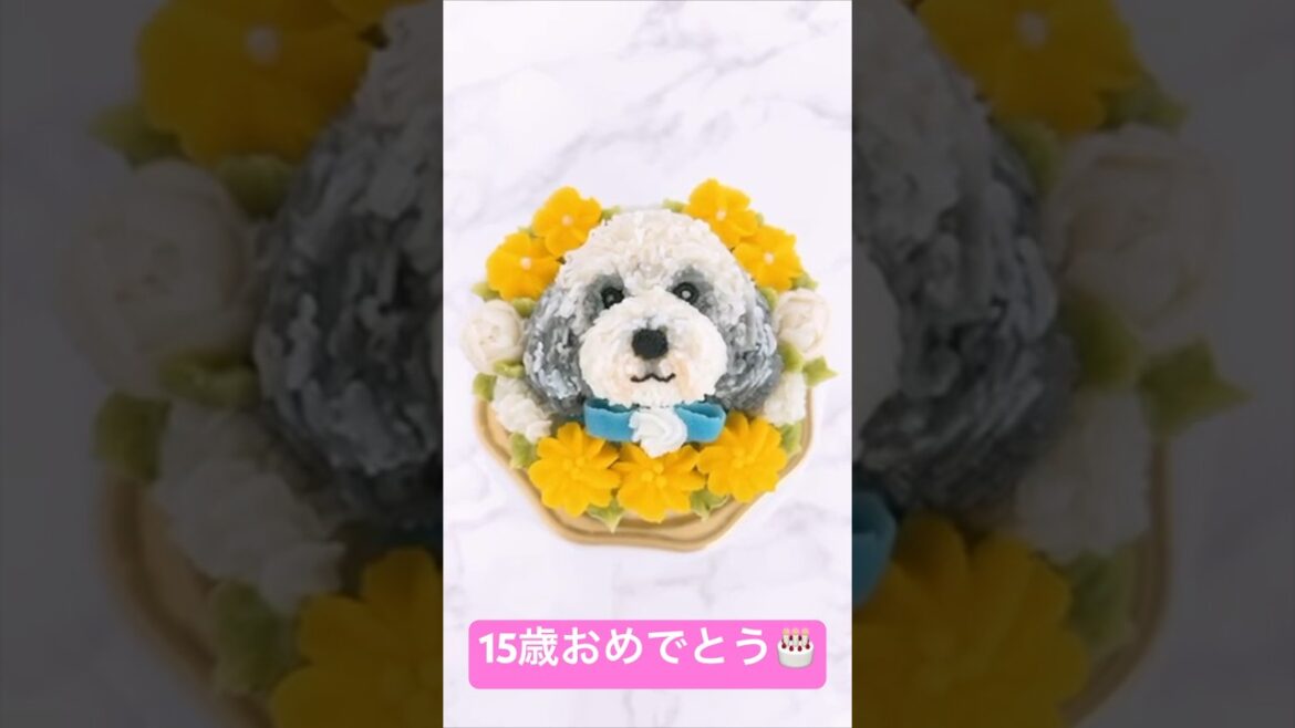 愛犬ぽちのお誕生日に似顔絵３Dケーキをオーダーしてみたら、むちゃくちゃ可愛かった❤︎