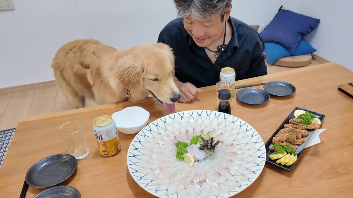 今は亡き人への思い。感謝と成長２度と戻りたくない過去に。【Golden Retriever japan】