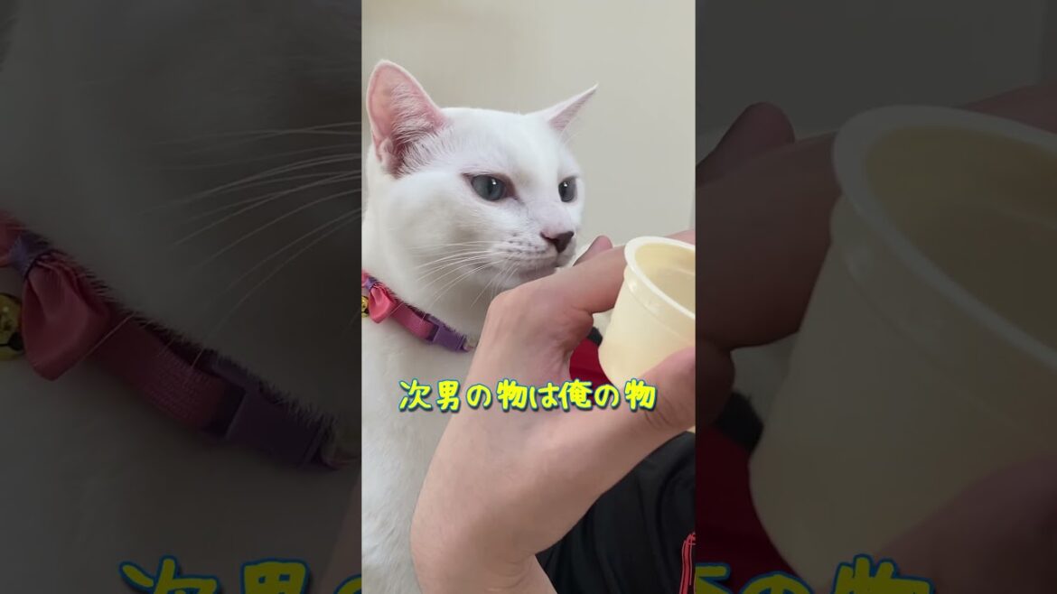 次男の物は僕の物 次男の物は僕の物