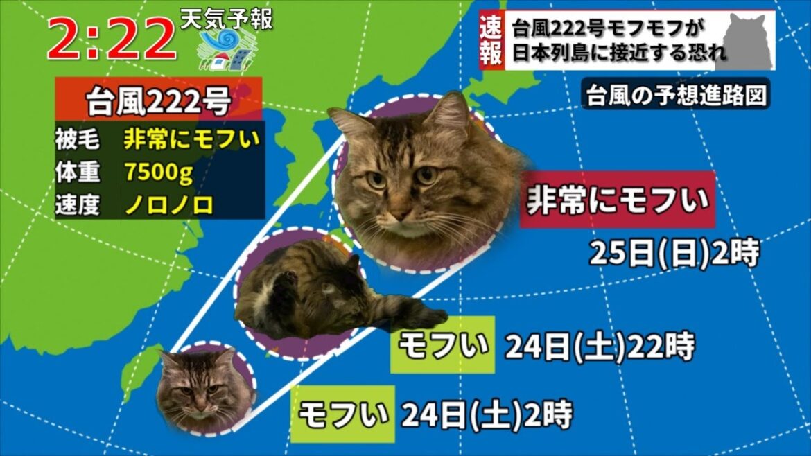【速報】大猫台風222号が日本列島直撃か 【速報】大猫台風222号が日本列島直撃か