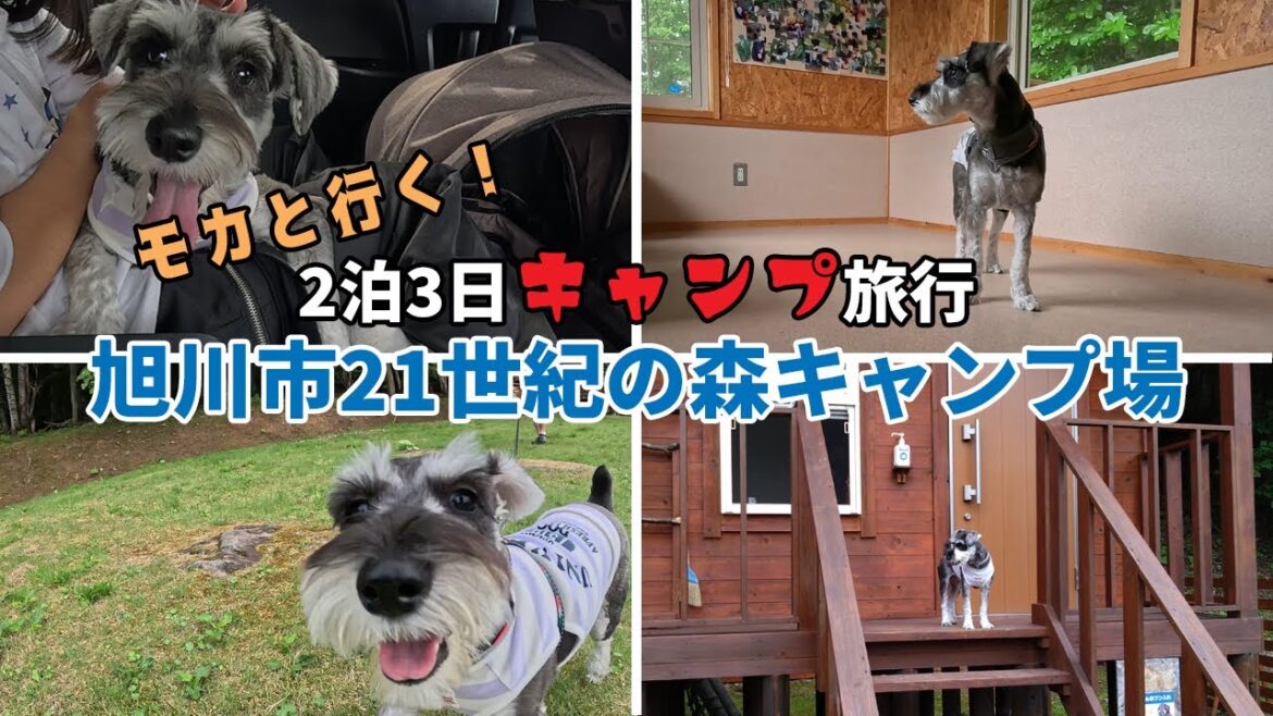 【犬連れキャンプ】愛犬と泊まれるバンガローが素晴らしかったです【旭川２１世紀の森キャンプ場】