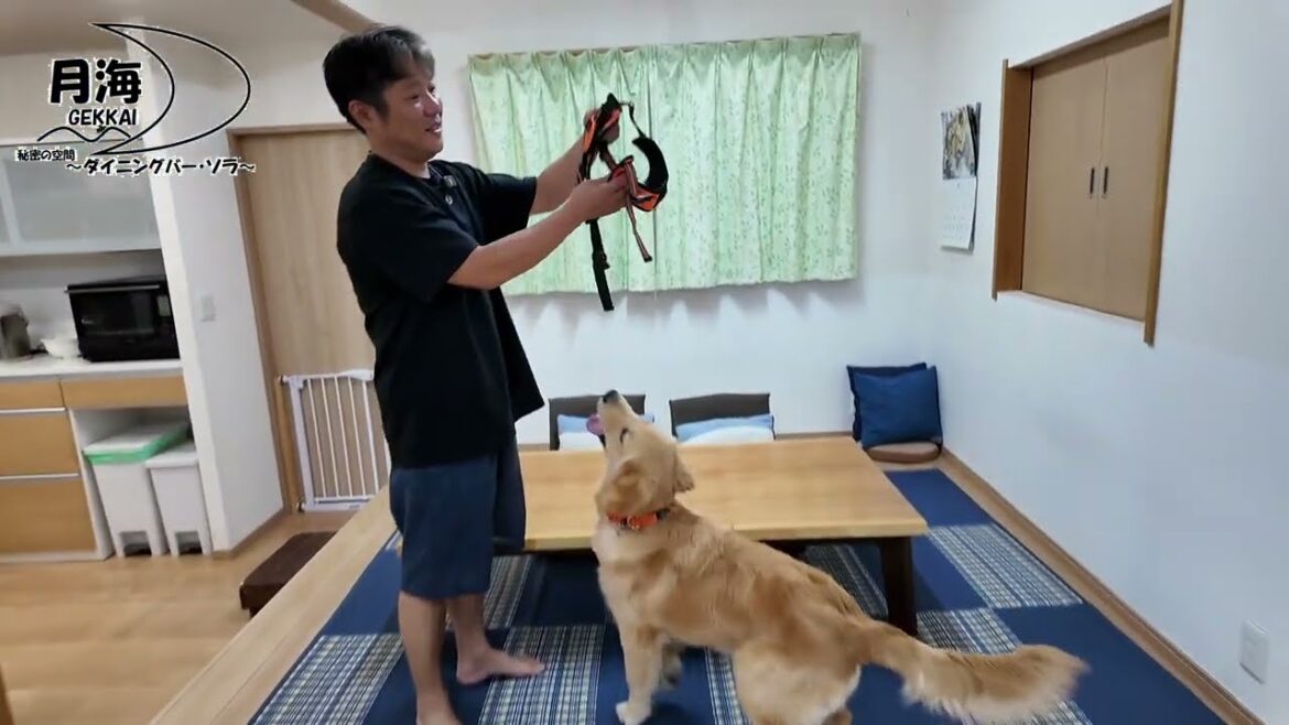 【切り抜き】思わず胸が熱くなる。引き継いでくれた生きた証を感じる時。 【切り抜き】思わず胸が熱くなる。引き継いでくれた生きた証を感じる時。