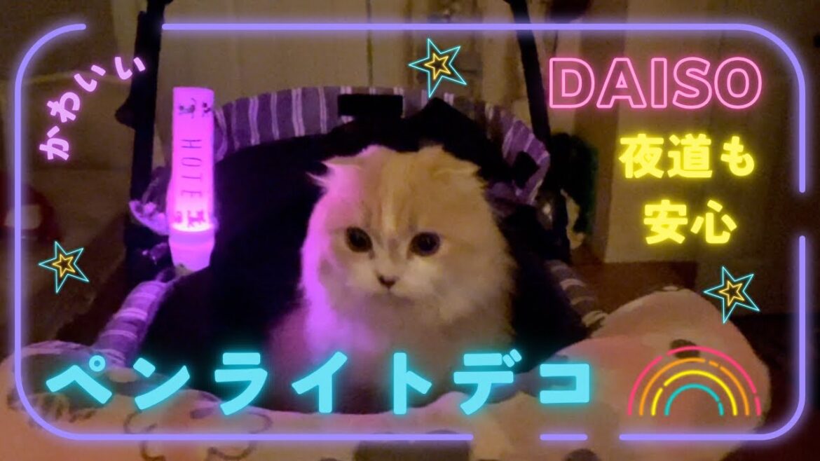 【ダイソー購入品】ペットカートにLEDコンサートライト設置/スコティッシュフォールド/LED Concert Light